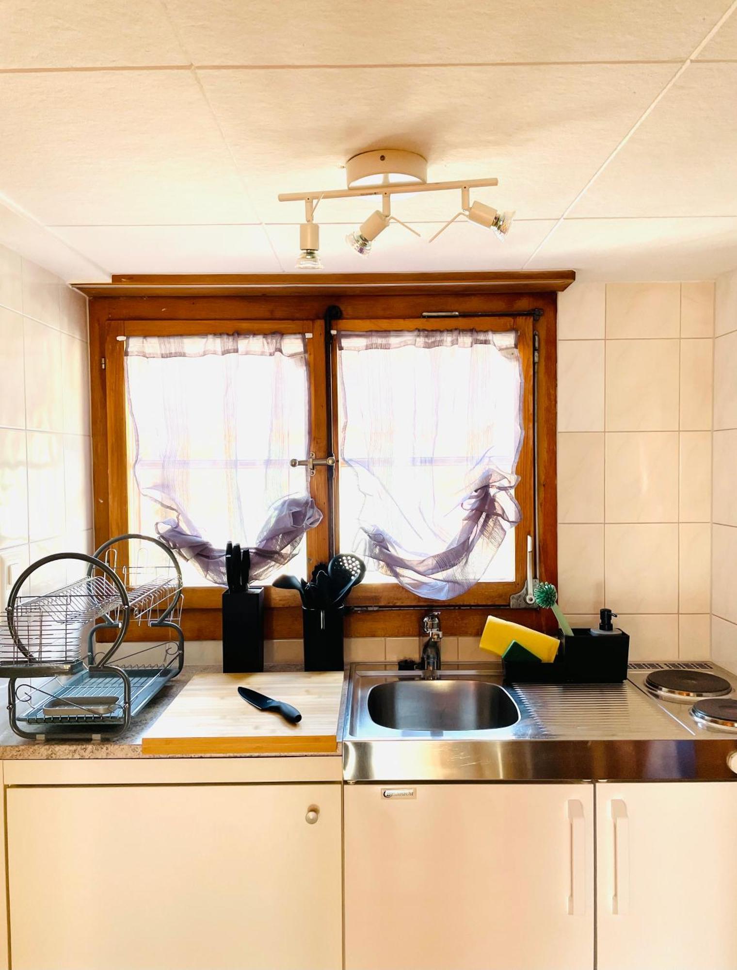 Charming, Well-Equipped Alpine Apartment Kandersteg Exteriér fotografie